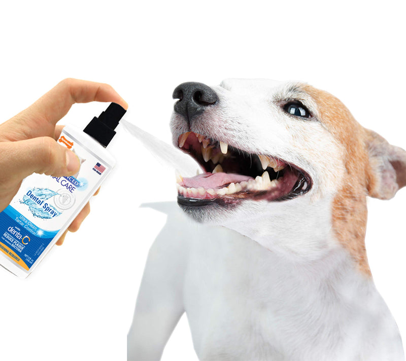 Nylabone Advanced Oral Care 4 oz Dog Dental Spray - PawsPlanet Australia