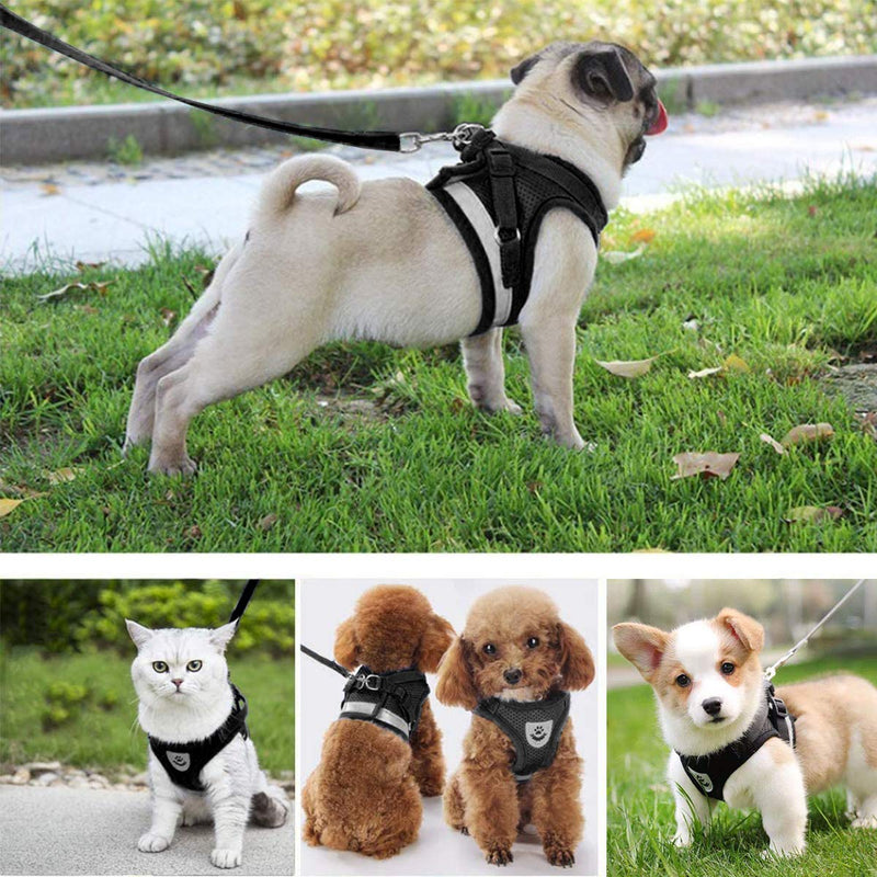 BOJLY Cat Harness and Lead Set with Pet ID Tag Escape Proof for Kitten and Puppy Small Dog, Adjustable Reflective Safe Harness for Outdoor Walking black M - PawsPlanet Australia