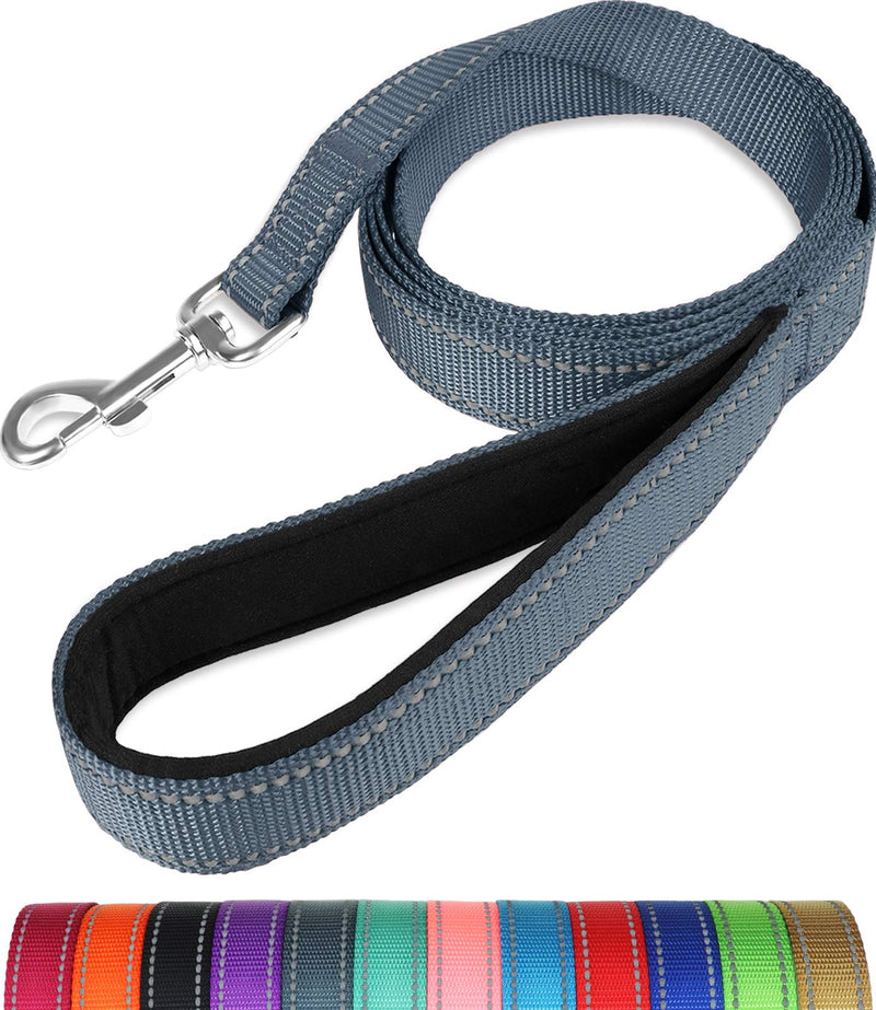 Taglory Dog Leash Medium Large Dogs Lightweight | Double-sided reflective | Padded handle | Support 10 to 75 kg | 1.8mx 2.5cm | Gray 1.8 m x 2.5 cm (pack of 1) - PawsPlanet Australia