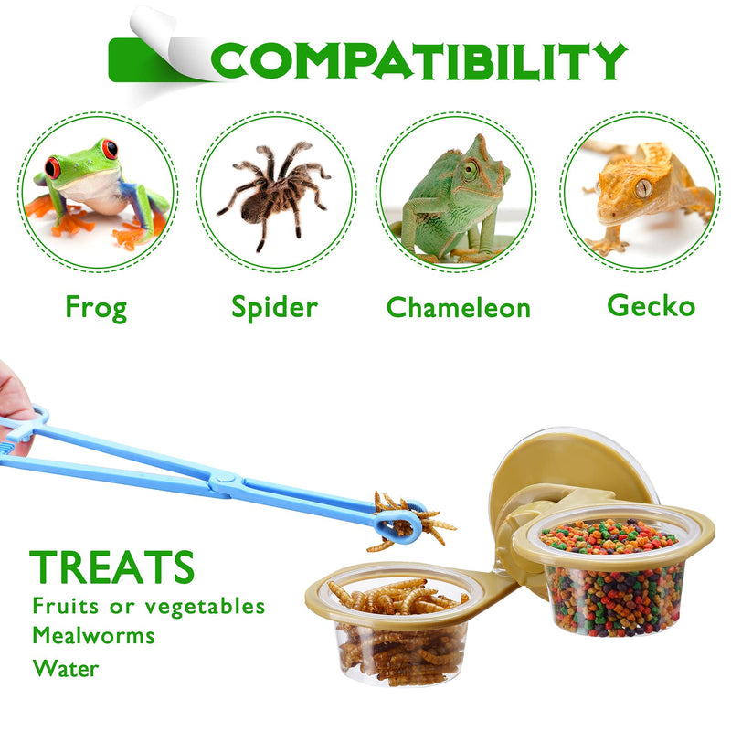 Fischuel Reptile Feeder Chameleon Lizard Feeding Cup with Suction Cup Gecko Transparent Fodder Container Double - PawsPlanet Australia