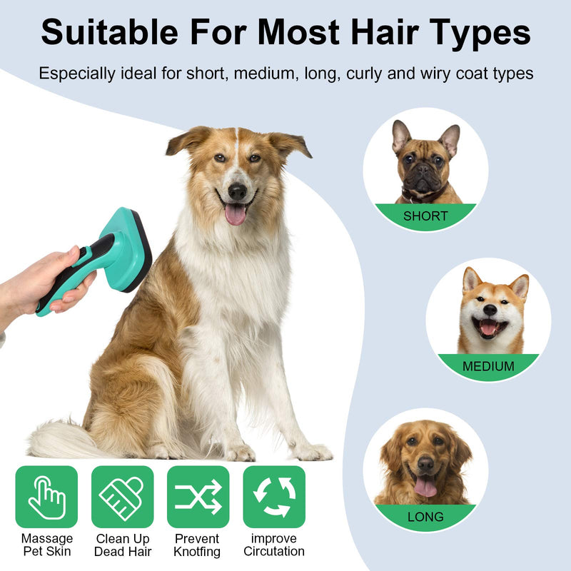 Self cleaning Slicker Brush, shedding and grooming tool for pets, remove loose hair, Fur, Undercoat, Mats, Tangled Hair, knots for large medium small sensitive long or short hair dogs, cats, rabbit Aqua Green - PawsPlanet Australia