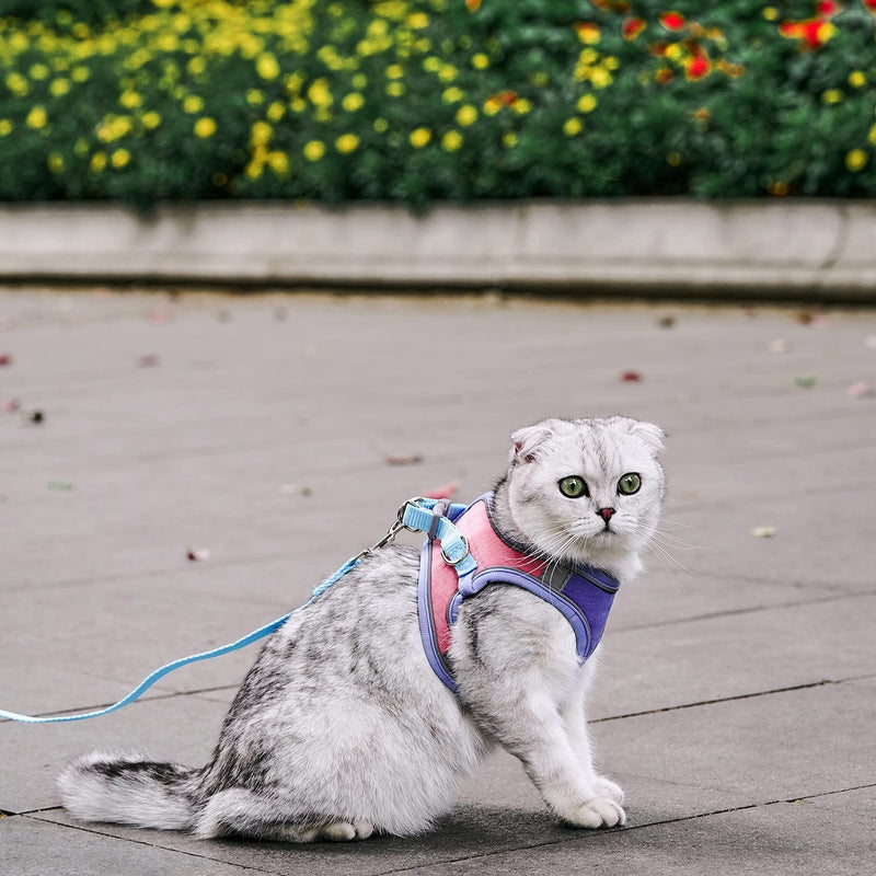 JSXD Cat Harness,Leash and Collar Set,Escape Proof Kitten Vest Harness for Walking,Easy Control Night Safe Pet Harness with Reflective Strap and Bell for Small Large Kitten,Fit for Puppy,Rabbit L:Neck 11.0-12.6"|Chest 14.2-15.7" * Fit Puppy Blue/Pink - PawsPlanet Australia