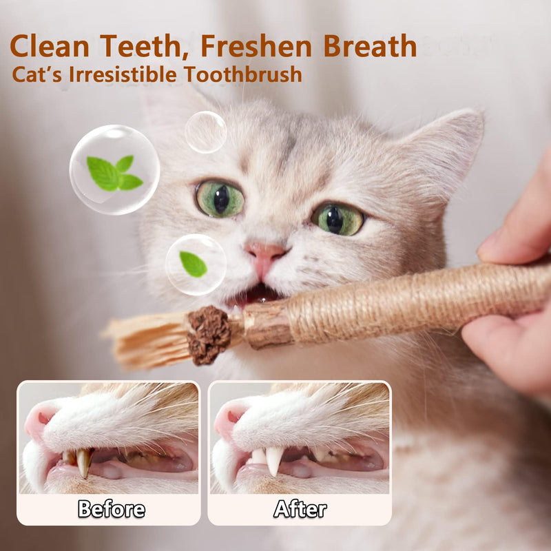 MarverFace Catnip Toys Pack of 6, 21CM Catnip Toys Fish Shape, 3 Matatabi Catnip Sticks, Cat Toys for Cats Playing and Chewing - PawsPlanet Australia