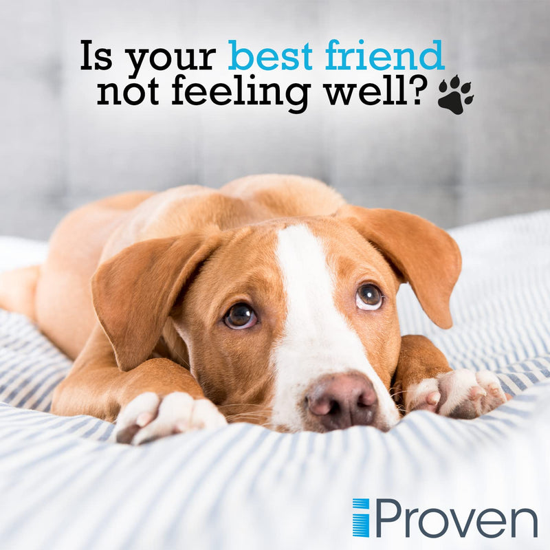 iProven Pet Thermometer (Termometro) for Accurate Fever Detection, Suitable for Cats/Dogs, Waterproof Pet Thermometer, Fast and Accurate Measurements in 20 Seconds - DT-K117 - PawsPlanet Australia