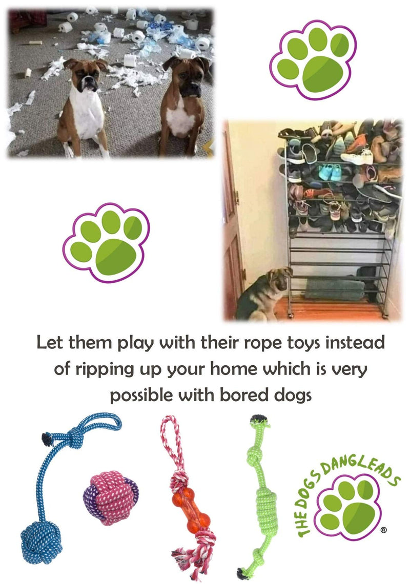 Puppy Dog Rope Toys by the Dogs DangLeads. Puppy Play Dog Rope Toys, Set of 4 Chew Toys & Bone. Washable & Made From 100% Hygienic Cotton for Puppies & Small to Medium Sized Dogs. - PawsPlanet Australia