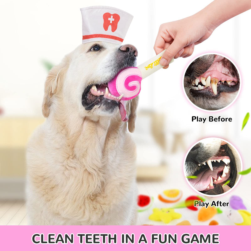 legend sandy Squeaky Dog Toys Cute Stuffed Plush Fruit Snacks Vegetable Dog Toys for Puppy Small Medium Dogs Pets Pack of 14 - PawsPlanet Australia