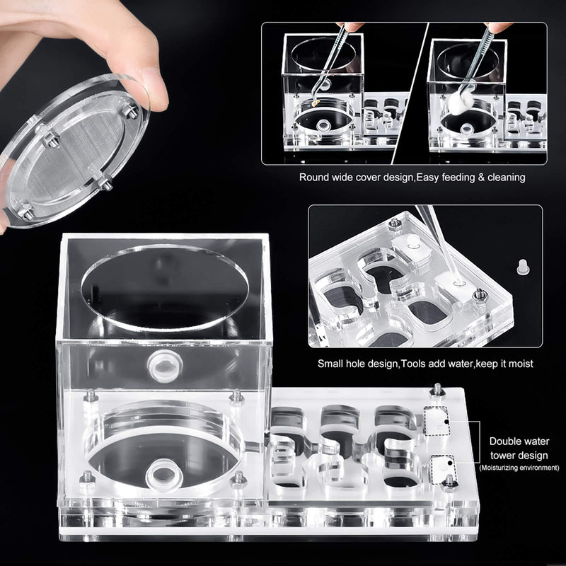 Furpaw Ant Farm, Ant Nest Formicarium to Observe Live Ant Habitat Transparent Acrylic Ant Housing Nest Box, Ants House for Feeding Ants - PawsPlanet Australia