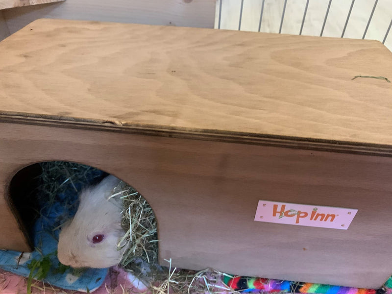 Hop Inn Guinea Pig Hideaway Tunnel (Lt Oak) - 40 cm L x 20 cm W x 18.5 cm H - Handmade in the UK - Arrives Built To Last - Wont tip over - All Weather Natural - PawsPlanet Australia