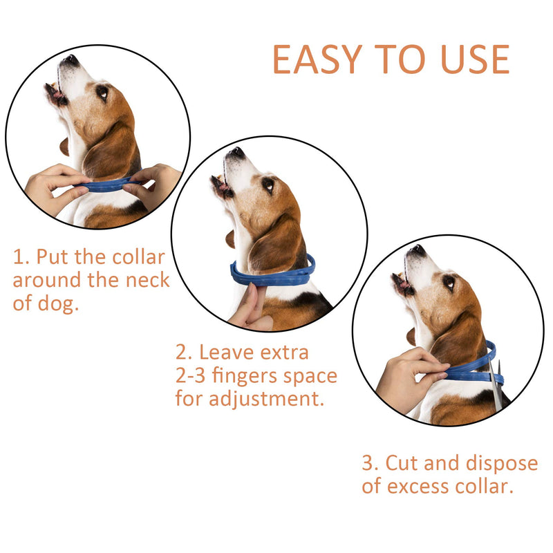 2 Pack Flea and Tick Collar for Large Dogs, 8 Month Flea and Tick Protection, Natural and Safe Tick and Flea Control for Dogs - PawsPlanet Australia