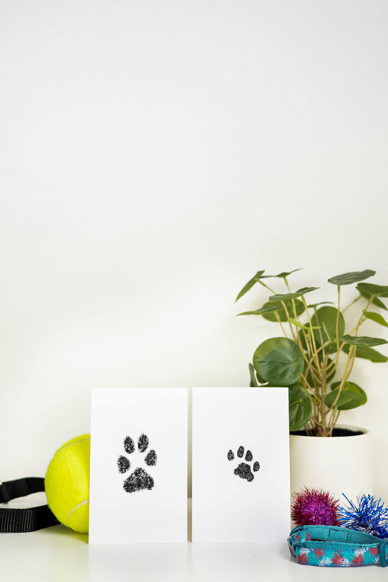 Pearhead Pet Paw Print Clean-Touch Ink Pads and Imprint Cards, Cats or Dogs, Pet Owners, Black Pet Clean Touch Ink Pads - PawsPlanet Australia