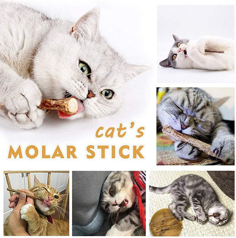 Pack of 30 catnip sticks for cats, matatabi stick cat sticks, matatabi chewing sticks as cat toys, chewing wood cat catnip sticks (catnip stick) catnip stick - PawsPlanet Australia