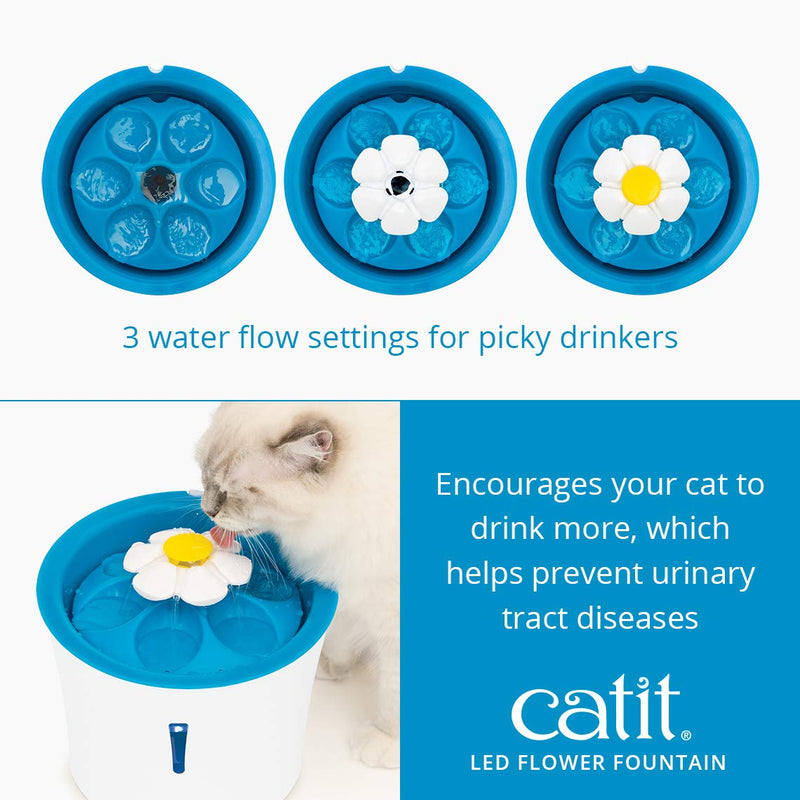 Catit Senses 2.0 Flower Fountain, Cat Drinking Water Fountain Blue - PawsPlanet Australia