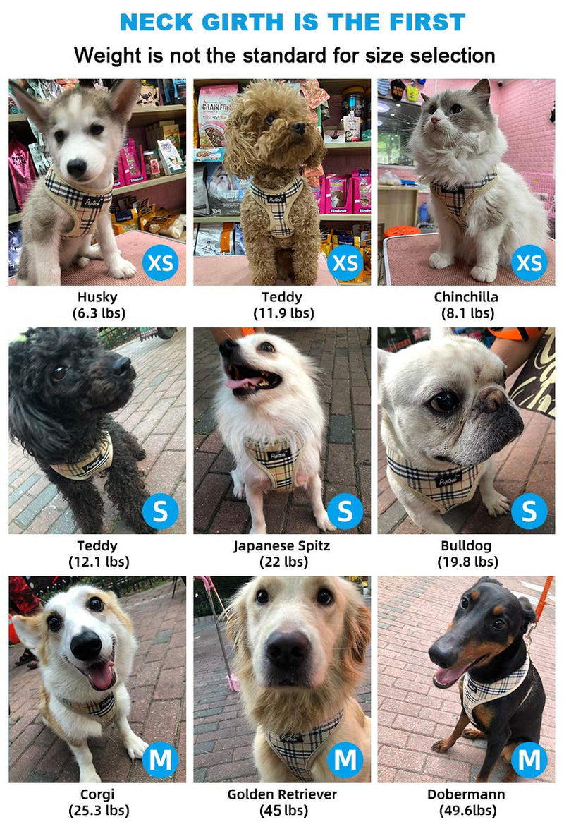 [Australia] - Soft Mesh Dog Harness Pet Puppy Comfort Padded Vest No Pull Harnesses S neck 12in,chest 13-16.5in Beige 