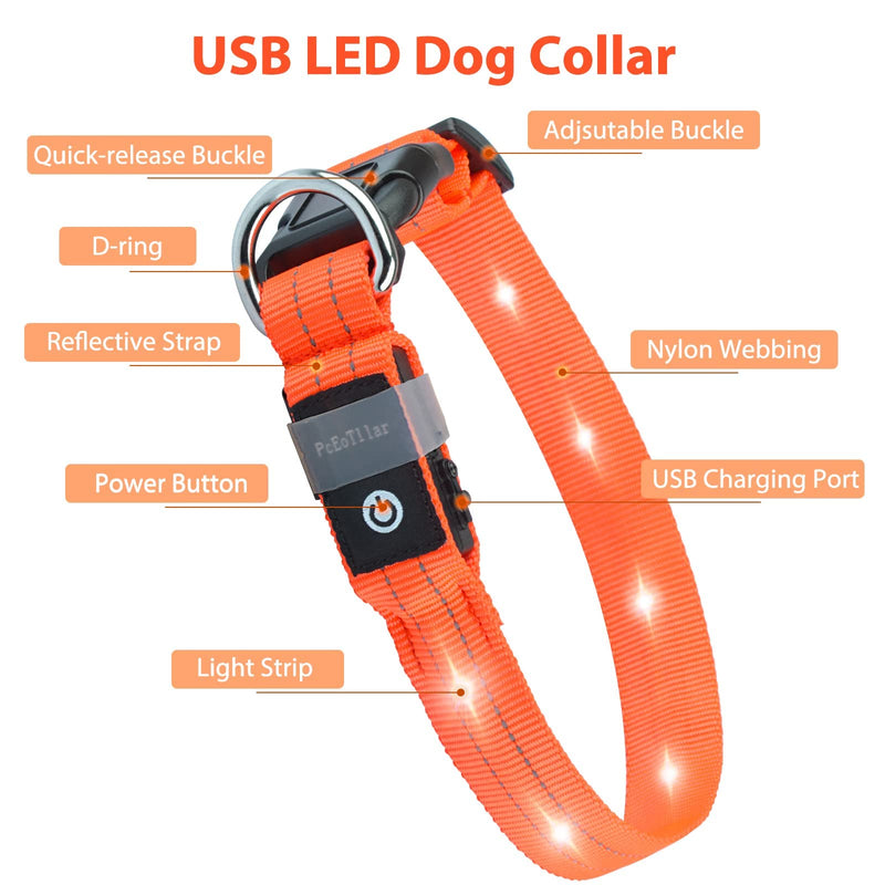 Dog Collar Luminous Collar Waterproof Light Up LED Dog Collar USB Rechargeable Flashing Reflective Dog Collars Adjustable Robust for Large Medium Small Dogs, Orange-L L (48-60cm, 2.5cm) - PawsPlanet Australia