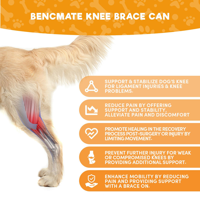 BENCMATE Adjustable Dog Knee Brace, Universal Designed for All Four Limbs, Dog ACL Hind Leg Brace, Dog CCL Brace, Support with Cruciate Ligament Injury, Joint Pain and Muscle Sore (Black, Large) Large (THIGH c. 10.6"-15.4"/LEG ht. 7.9"-11") - PawsPlanet Australia