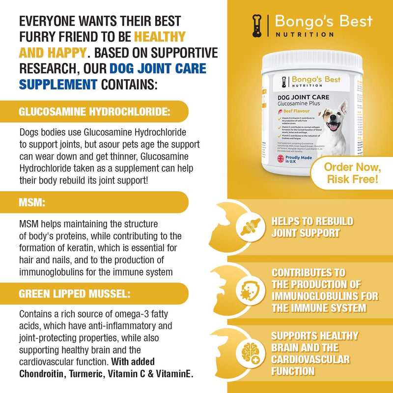 Mayfair Nutrition Dog Joint Care Supplements by Bongo’s Best - Premium Glucosamine & Green Lipped Joint Supplements for Dogs and Ages - Young or Old, Large or Small - PawsPlanet Australia