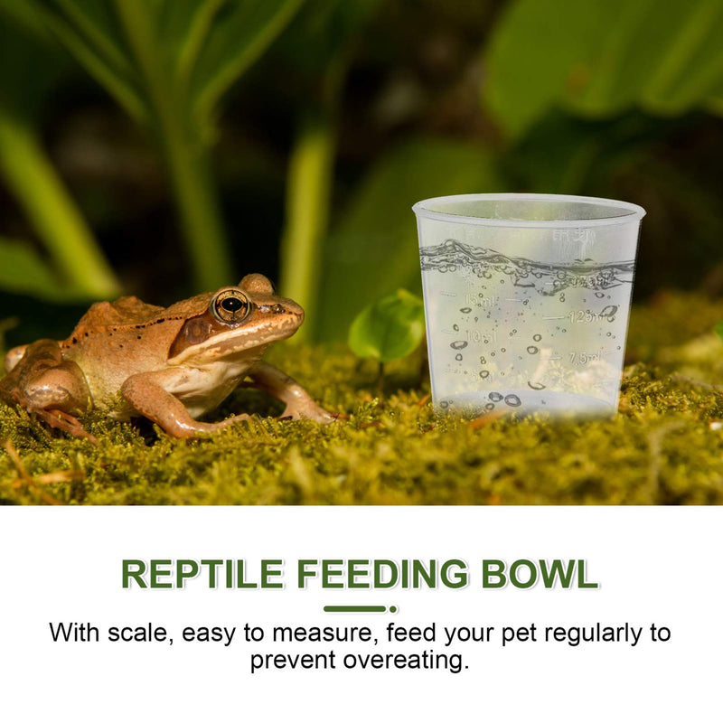 Balacoo 20Pcs Gecko Food and Water Containers Measuring Cup Reptile Feeder Gecko Feeder Ledge Bowl for Food Water Feeding Tortoise Lizard Transparent 20ml - PawsPlanet Australia