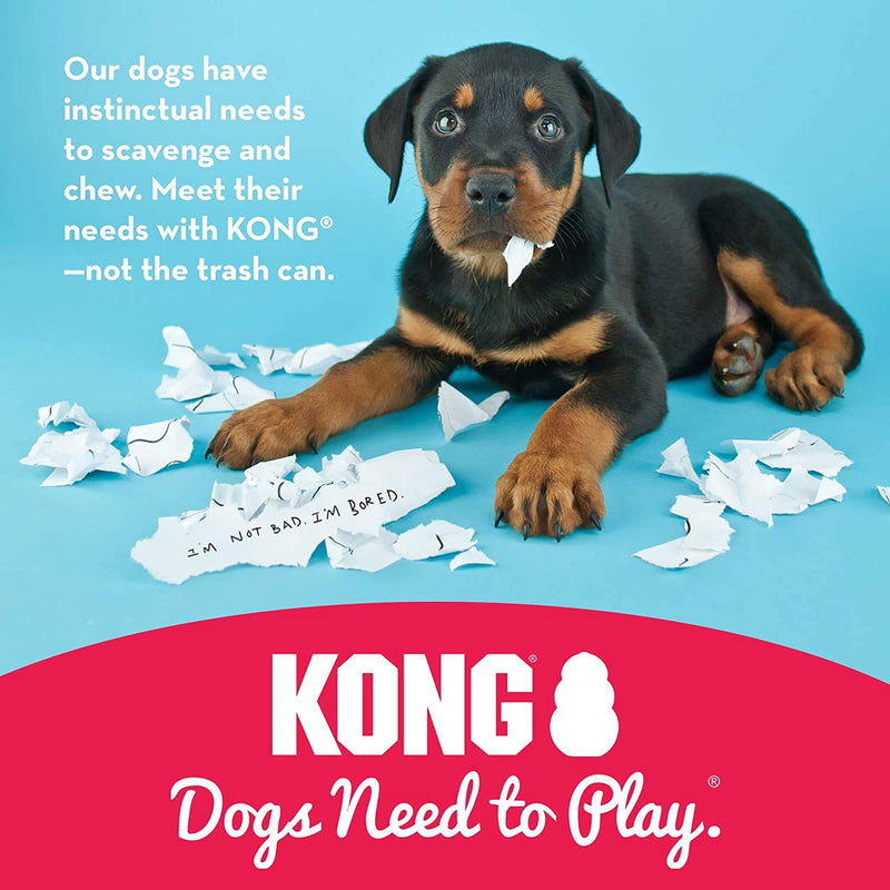 KONG - Holiday Signature Balls - Durable Dog Fetch Toy - For Medium Dogs Durable Dog Fetch Toy (2 Pack) - PawsPlanet Australia