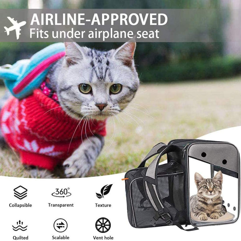 Pet Carrier Backpack for Puppy Dogs Cats 10kg - Expandable Transparent Transport Bag, Foldable Spacious Portable Top Opening Rucksack Airline Approved for Travel and Daily Use (grey) grey - PawsPlanet Australia
