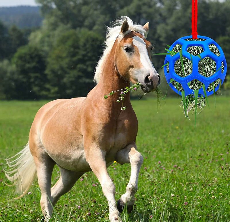 Horse Treat Ball Hay Feeder Holder Hanging Slow Feeding Toy for Goat Sheep Horse Stable Stall Paddock Rest Relieve Stres - PawsPlanet Australia