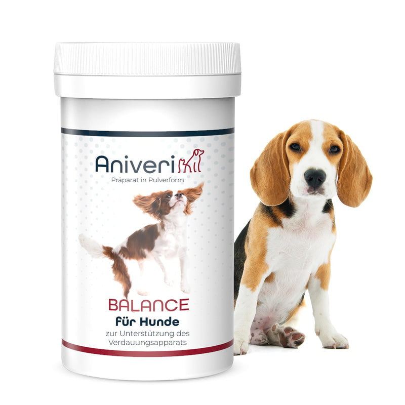 Aniveri - Balance Vitamins for Dogs, Digestive Vitamin Powder for Dogs, Prebiotic & Probiotic with Vitamin B Complex for Dogs, Healthier Intestinal Flora for Dogs, 105g Digestion - PawsPlanet Australia