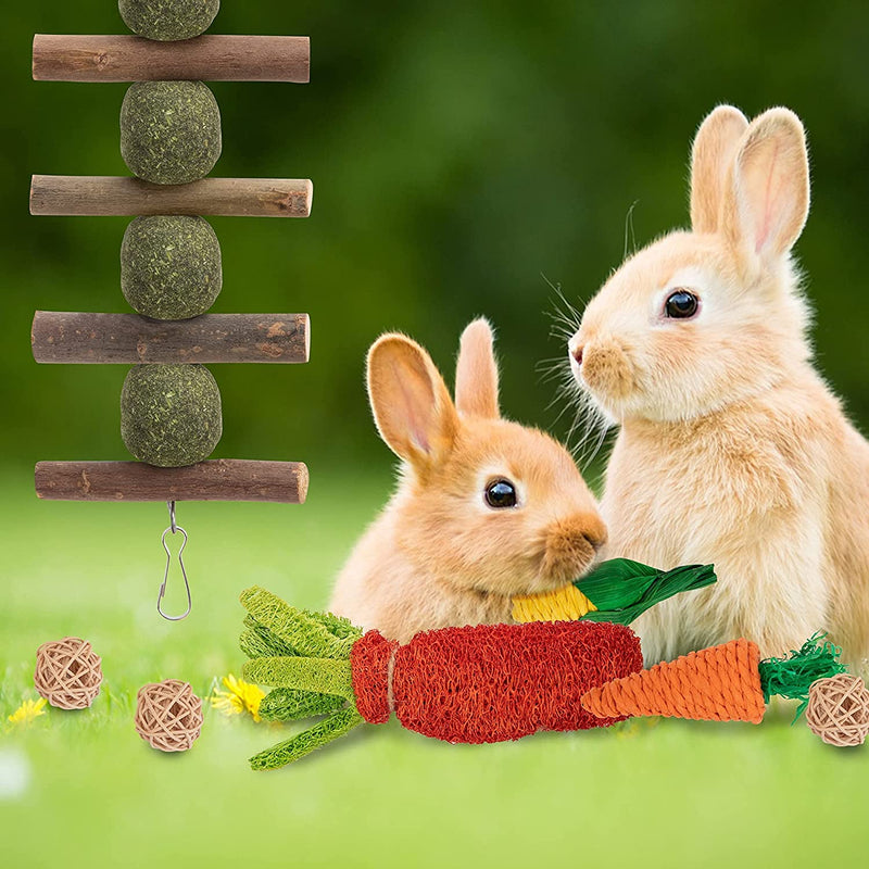 16 PCS Rabbit Toys Bunny Chew for Teeth, Hamster Dental Health 100% Natural Apple Wood Grass Ball String Pet Cage Entertainment Accessories Chinchilla, Guinea Pig, Hamster Degus, Squirrels 16pcs - PawsPlanet Australia