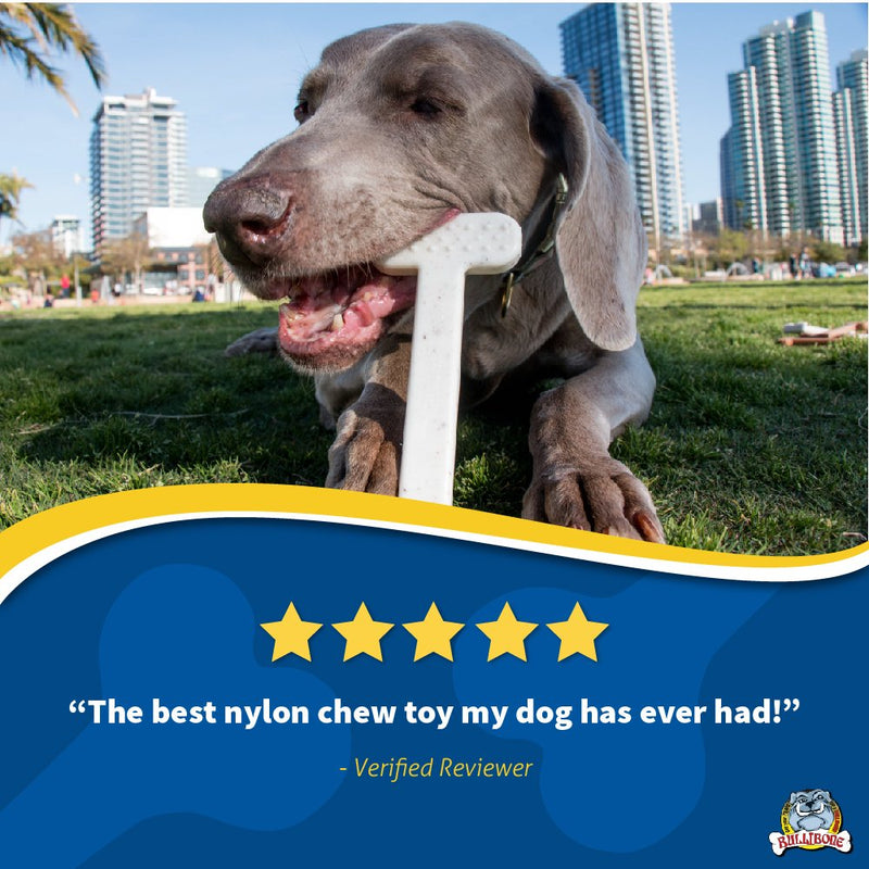 [Australia] - Bullibone Nylon Dog Chew Toy Nylon Bone - Improves Dental Hygiene, Easy to Grip Bottom, and Permeated with Flavor Bacon XL - 2 Pack 