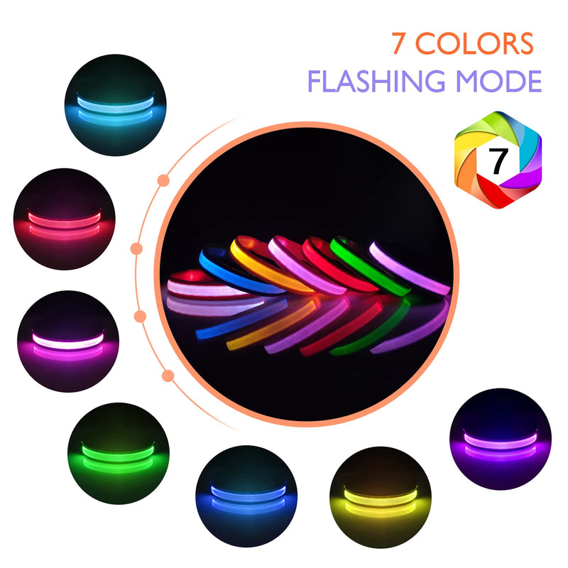 Light Up Dog Collar Rechargeable USB-C, LED Collar for Dogs Waterproof Dog Collar Luminous 7 Colors Flashing Light Adjustable Lightweight Collar Dogs for Small Medium Large Dogs, Purple SS(28-40cm/11-15.7inch) - PawsPlanet Australia