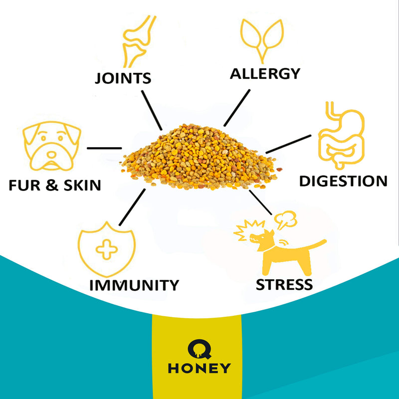 Q honey 100% Natural Dog Supplements. Joint Aid for Dogs with vit B1, B2, B6, B12 amino acids and vit. A, B, C, E, D | Dog Joint Care Supplements | 100 g - PawsPlanet Australia