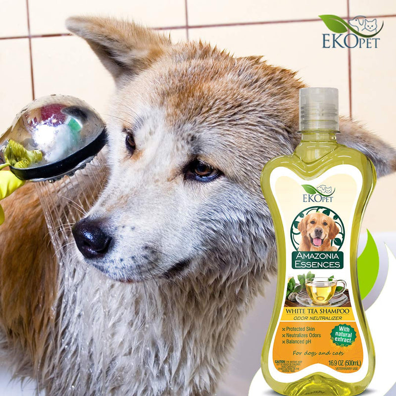 [Australia] - EKOPET All Natural Shampoo and Moisturizing Aloe Conditioner Vet and Pet Approved for Dogs and Cats - 16.9oz (Available Single and Bundle Shampoo + Conditioner) White Tea 