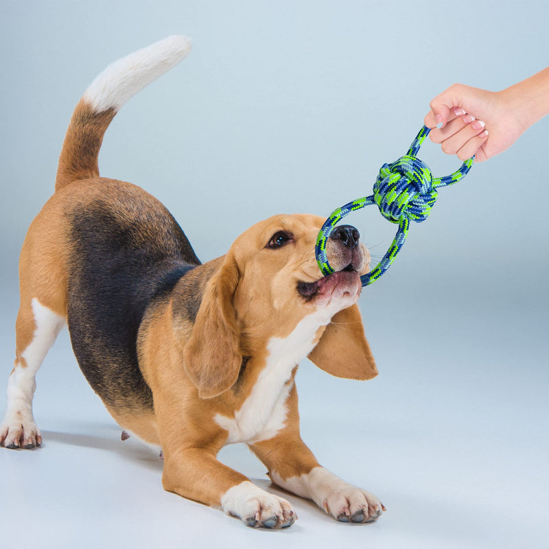 Tug of War  Dog Rope Toy  Bright Blue Coloured  Keep Teeth Strong  Great for Fetch and Tug-of-War  Suitable for Indoor & Outdoor Play  NO MORE DAMAGE TO HOME - PawsPlanet Australia