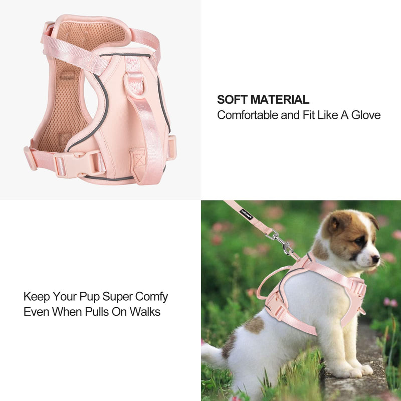 Petmolico Dog Harness for Small Medium Dogs No Pull, Cute Dog Harness with Two Leash Clips and Soft Handle, Reflective Easy Walk Dog Harness with Leash Pink - PawsPlanet Australia
