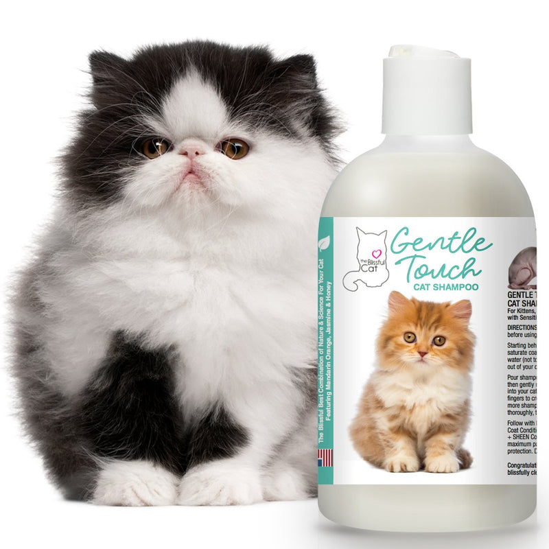 [Australia] - The Blissful Dog Gentle Touch Cat Shampoo, 8-Ounce 
