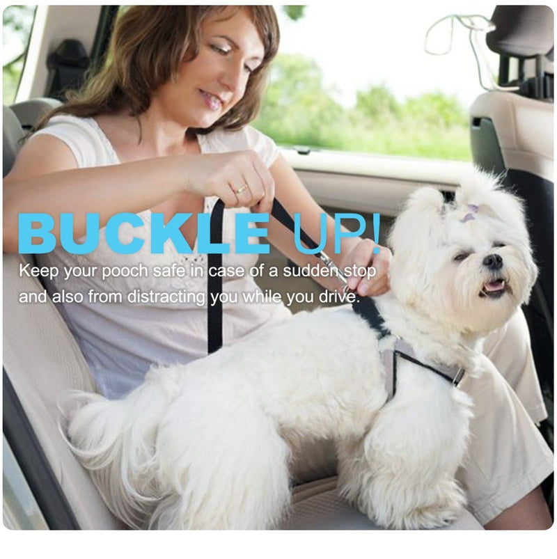 [Australia] - Pawtitas Dog Seat Belt with Restraining Strap for Pet Carrier Adjustable Strap Dog Training Puppy Training Teal 