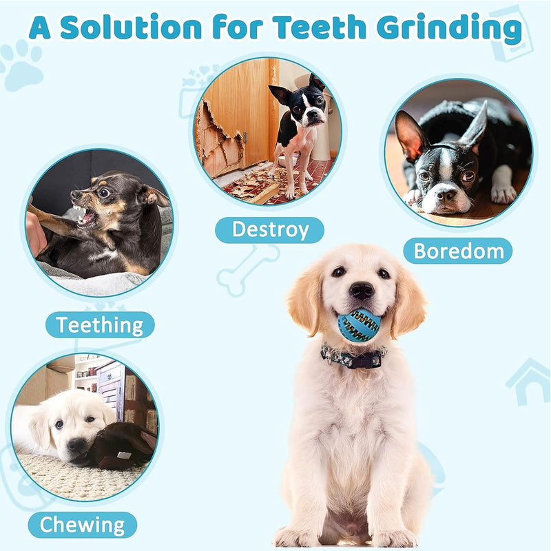 VMINOG Pack of 3 dog balls with dental care, function studs dog toy made of natural rubber, ball dog indestructible diameter 6 cm, dog ball robust for large and small dogs, chew toy made of natural rubber - PawsPlanet Australia