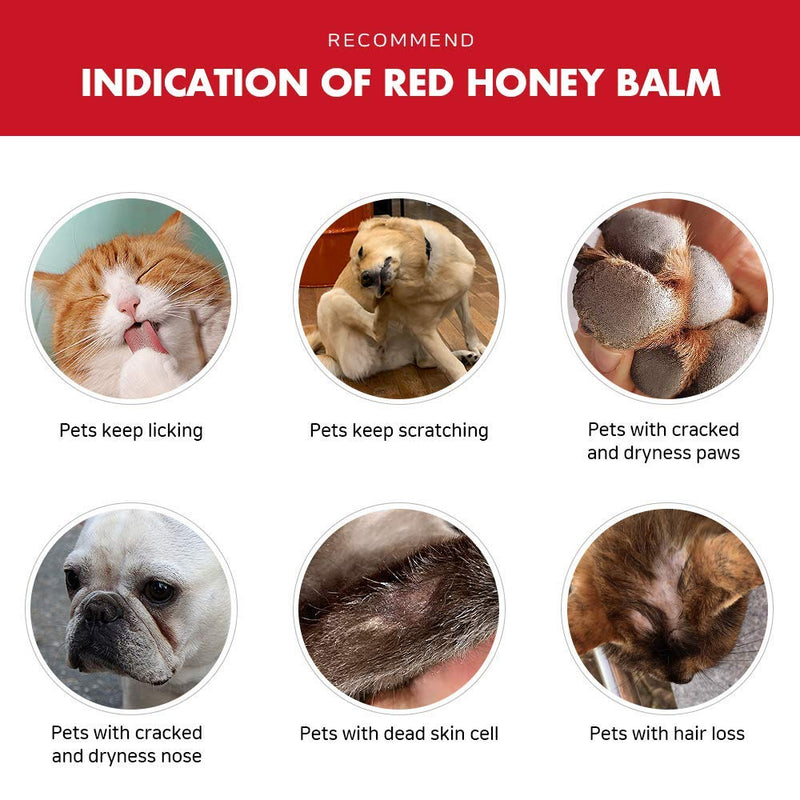 JAYU PET Red Honey Balm - Cat Dog Paw Balm | Paw Wax, Paw Butter | Dog Paw Lotion | Dog Balm | Dog Paw Cream | Dog Paw Moisturizer | Paw Pad Moisturizer | Pet Paw Balm | Dog Pad Cream - PawsPlanet Australia
