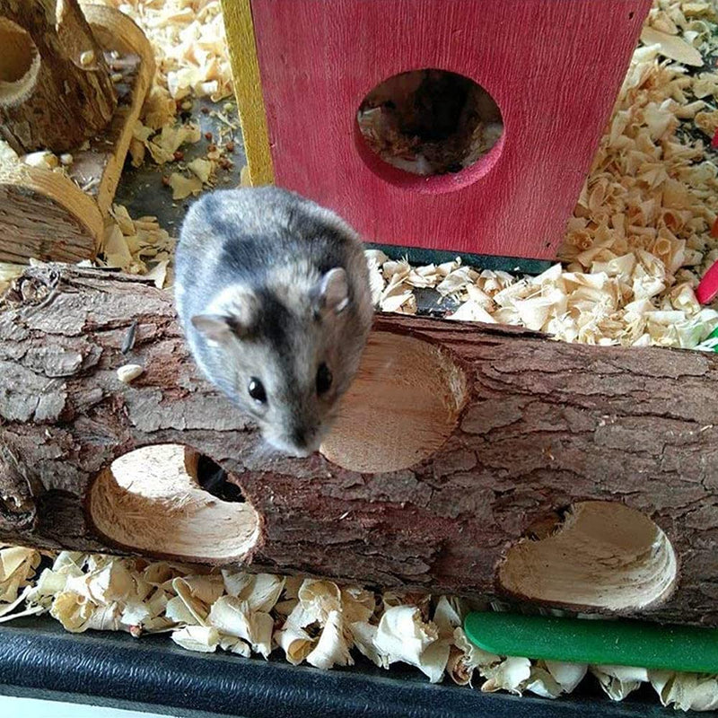 ANCLLO Hamster Tunnel Tube Natural Wooden Playing Hut Forest Hollow Tree Trunk Peep Hole Design for Squirrel Mice Chinchilla Chipmunk Small Animals - PawsPlanet Australia