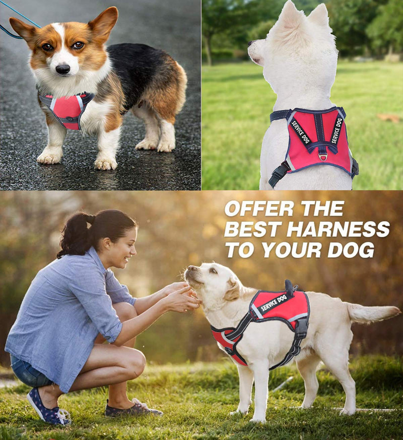 [Australia] - Cymiler Dog Harness,No-Pull Service Dog Harness with Handle,Adjustable Comfort Pet Dog Vest Harness for Outdoor Walking,3M Reflective Vest Easy Control for Small Medium Large Breed M:Neck 13.8-20.5"|Chest 20.1-31.1" Red 