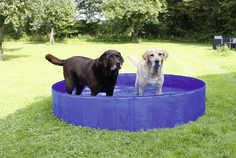 Kerbl Dog Pool 160 x 30cm 160 x 30cm (450 Liter) - PawsPlanet Australia