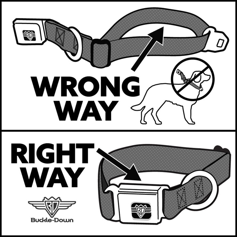 [Australia] - Buckle-Down Seatbelt Buckle Dog Collar - Dancing Bears Hemp/Black 1" Wide - Fits 11-17" Neck - Medium 