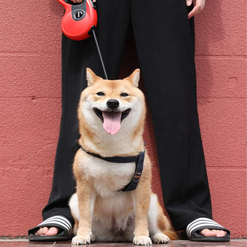 [Australia] - Retractable Dog Leash 16ft Heavy Duty Pet Walking Lead Leashes for Large Small Dog with Dispenser, Tangle Free One-Hand Brake Lock Red 