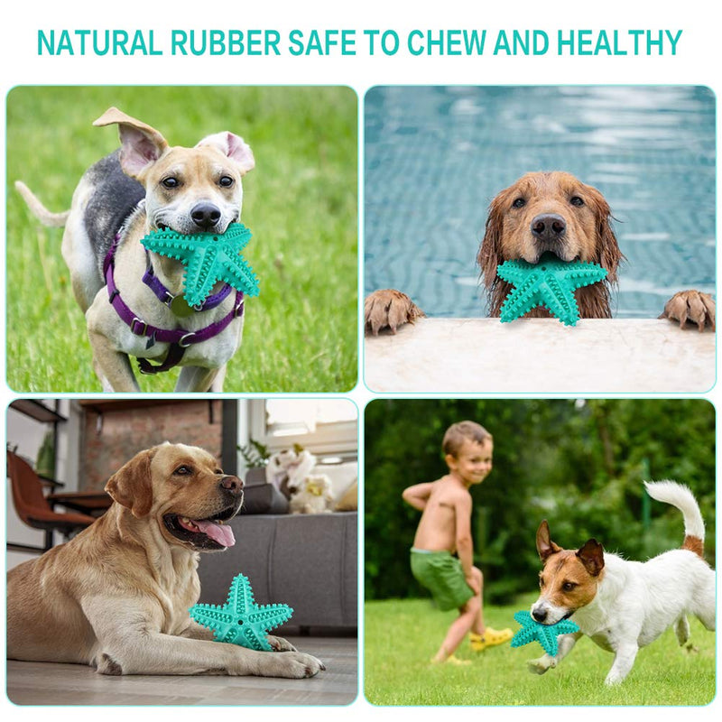 Dog Chew Toys Teeth Cleaning Toothbrush Squeaky Toy, Durable Puppy Teething Chew Toy Tough Pet Dental Oral Care Brushing Sticks Dogs Chewing Toys for Aggressive Chewers Small Medium Breed Lake Blue - PawsPlanet Australia