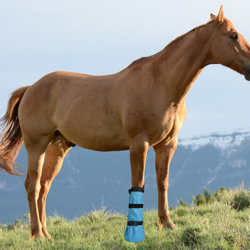 [Australia] - yeezo Horse Hoof Soaking Boot Hooves Soaker Bag for Treating Common Hoof Ailments with EVA Pad 
