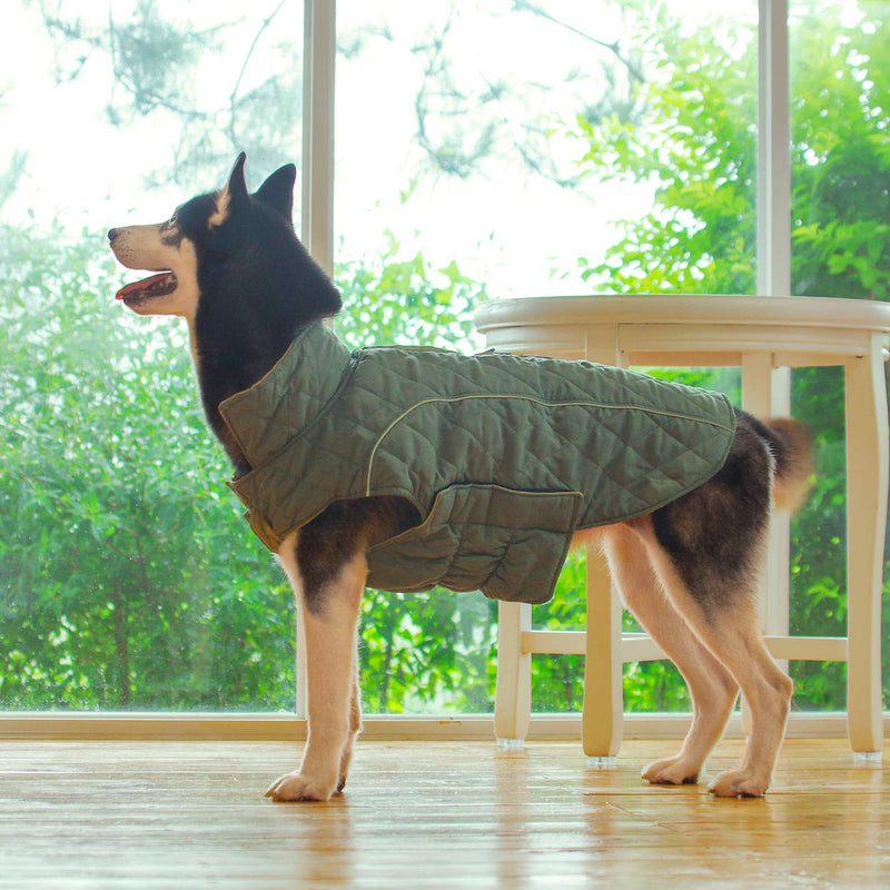 [Australia] - ThinkPet Warm Reversible Dog Coat - Thick Padded Comfortable Winter Dog Jacket, Reflective Safey Dog Vest L(Back 17 in, Chest 22 -24 in) Green 