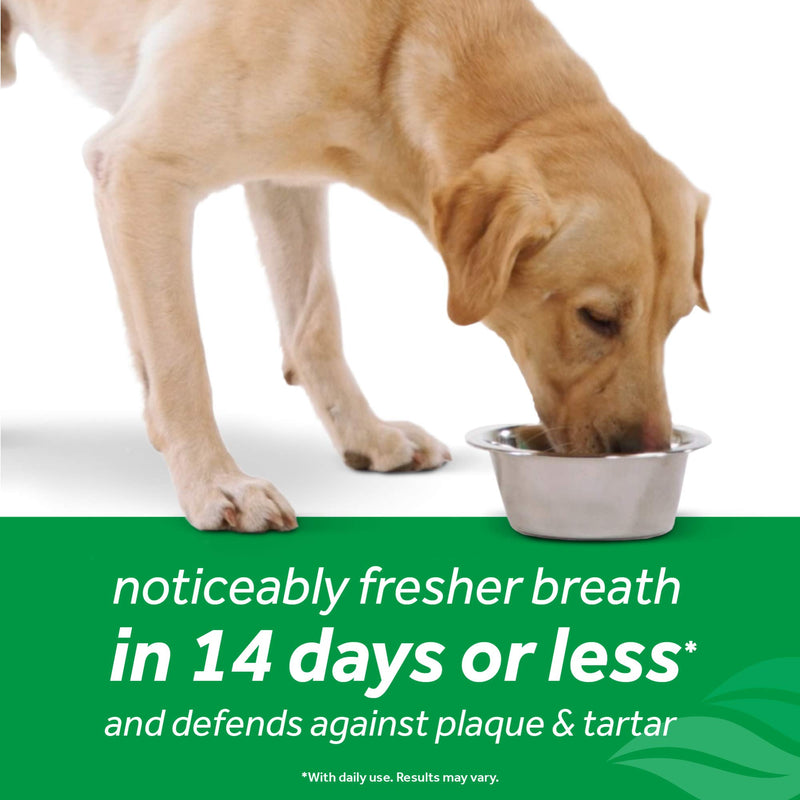 TropiClean Fresh Breath Dental Health Solution Supports Skin Health for Dogs, 16oz - Made in USA - PawsPlanet Australia