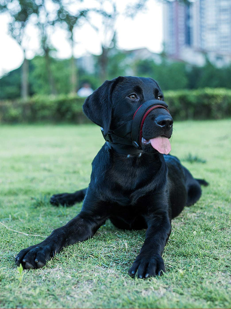 [Australia] - Mayerzon Dog Muzzle Soft Anti Barking Muzzle for Small, Medium and Large Dogs, Adjustable and Breathable S Black 