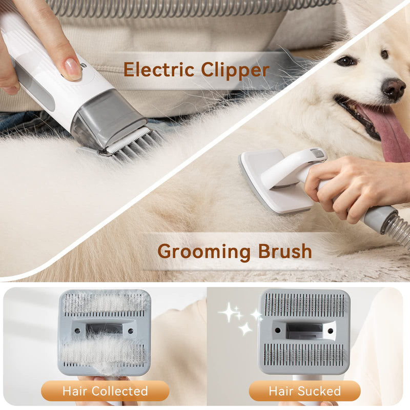 Afloia Dog Clipper Professional Clipper Dog Cat Animal Hair Clipper Electric Dog Trimmer Cordless Hair Clipper Rechargeable - PawsPlanet Australia