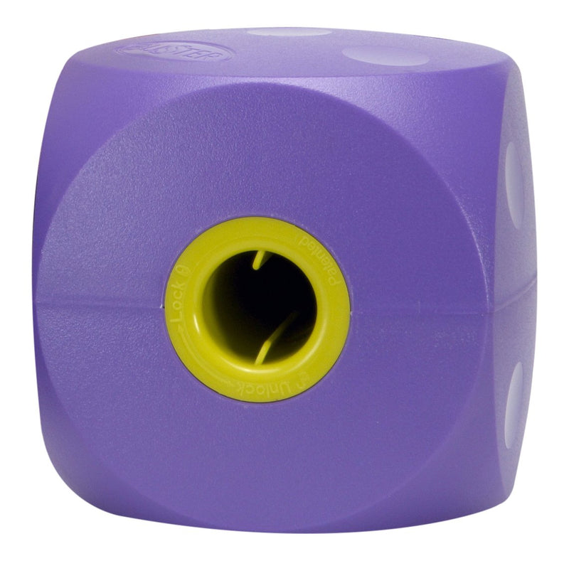 Buster Mini Cube, Purple - PawsPlanet Australia