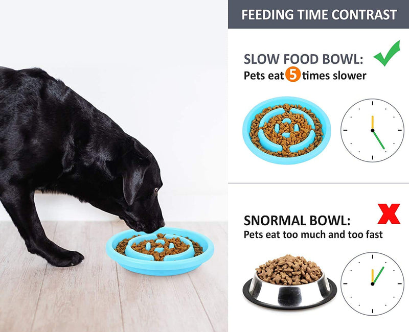 Pecute Dog Bowls Slow Feeder Bloat Stop Pet Bowl Eco-Friendly Non-Toxic No Chocking Healthy Design Bowl with No-Spill Non-Skid Silicone Mat Stainless Steel Water Bowl for Dogs Cats and Pets M-13.5oz/bowl Blue Bowl - PawsPlanet Australia