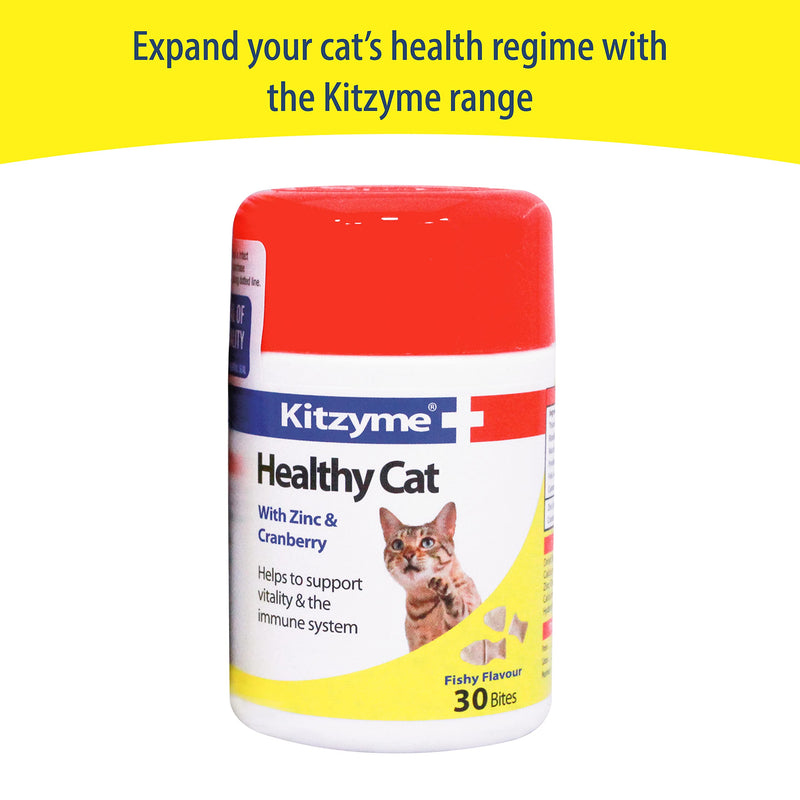 Kitzyme | Conditioning Tablets for Cats & Kittens | Promotes Health & Vitality, Supports Immune System (100 Tablets) 100 Tablets - PawsPlanet Australia